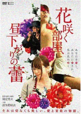官路先锋TXT奇书网第二卷封面